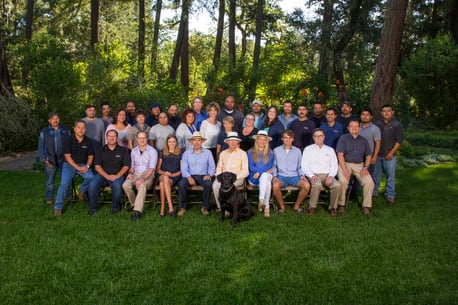 Winery team 