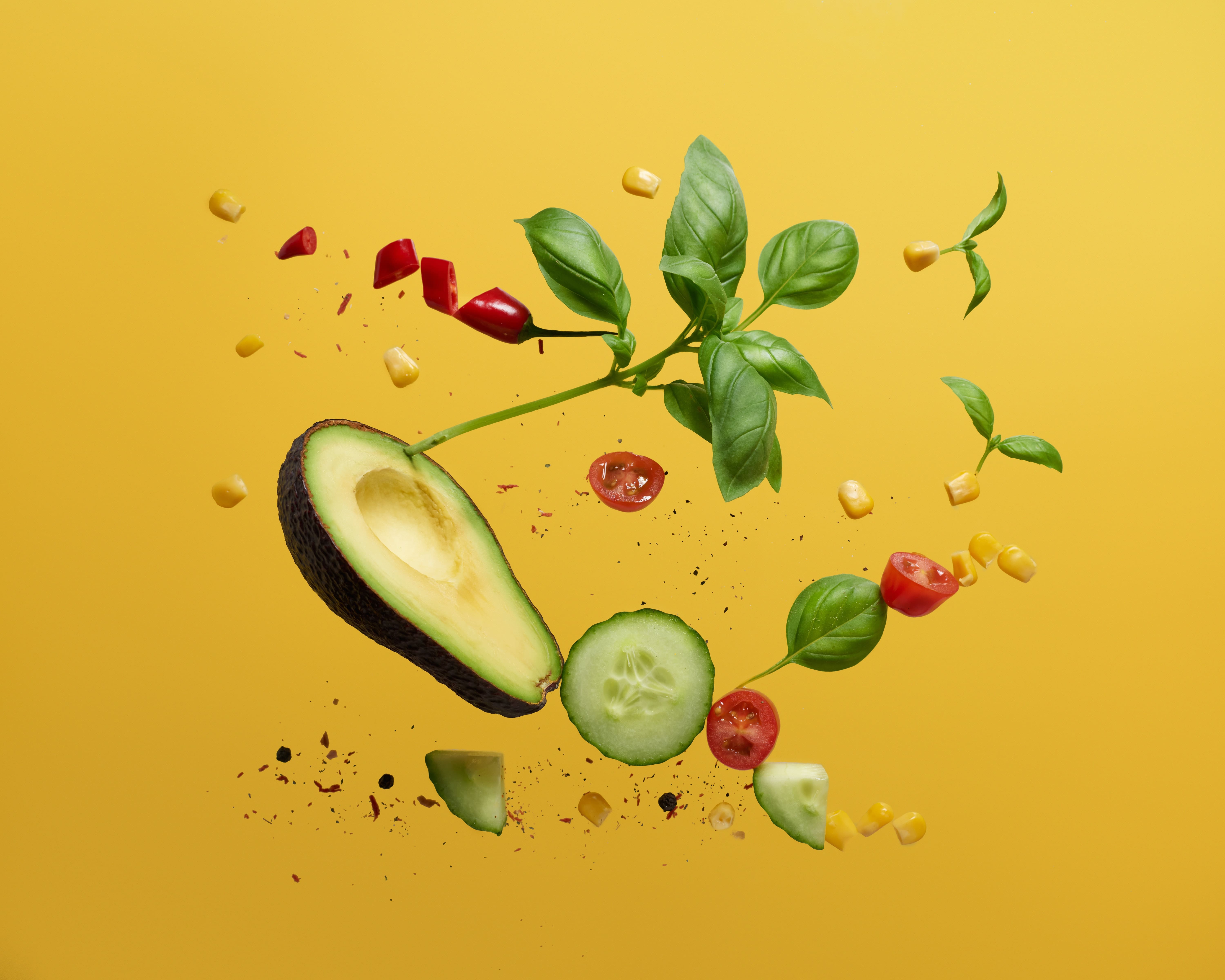 Vegan Cuisine: Healthy, Cost Efficient and Easy