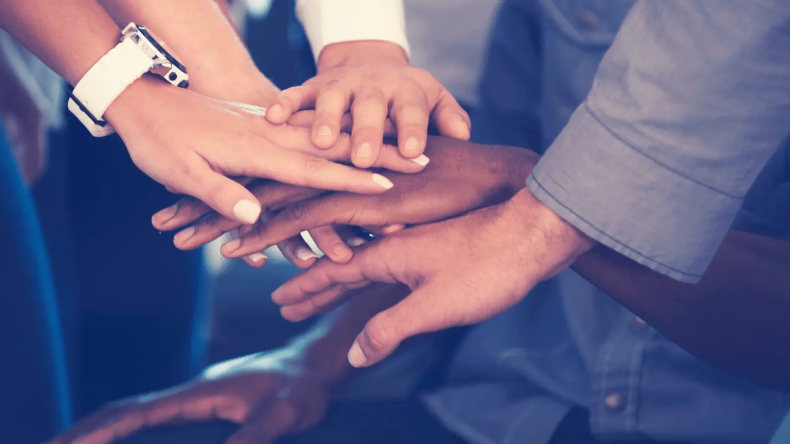 The 5 Drivers of Company Service Culture