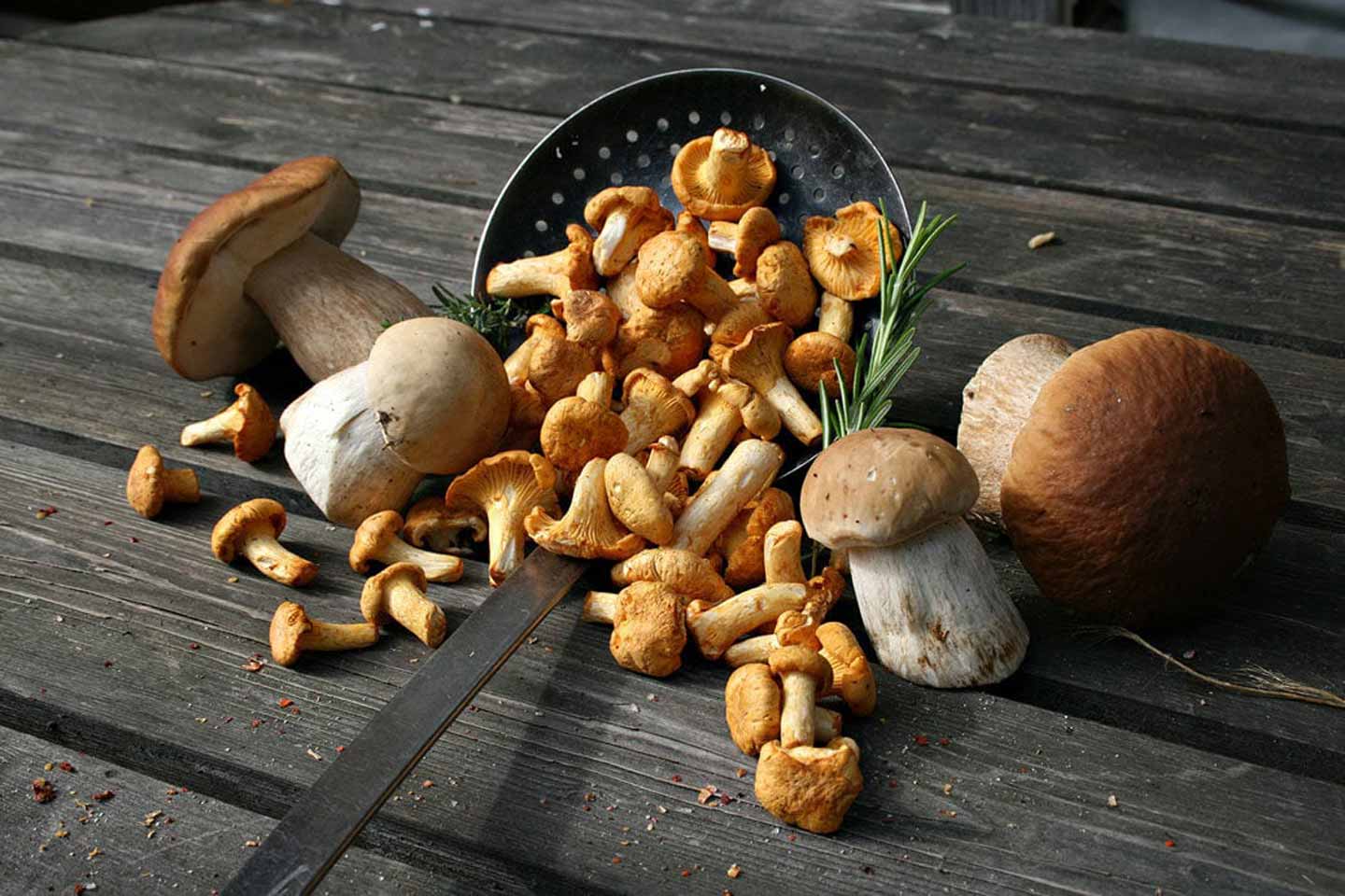 mushroom, mushroom recipes